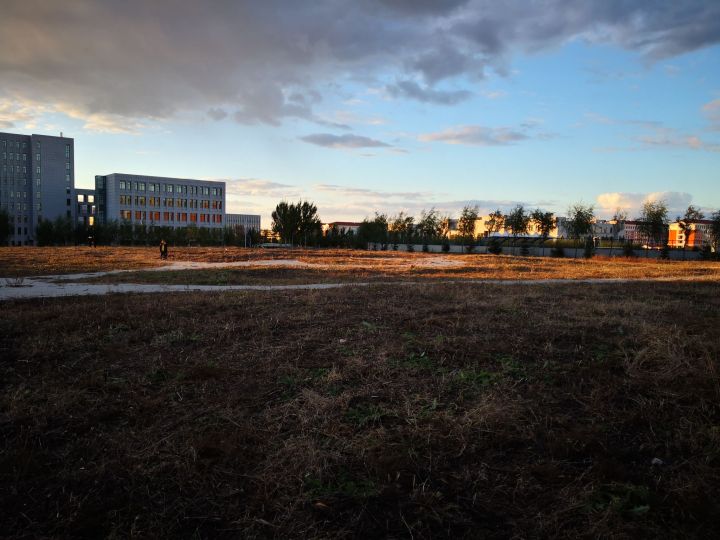 黑龙江东方学院院系,黑龙江省内大学本科