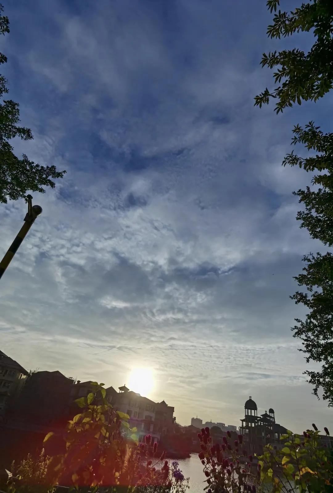 离婚了如何尽快走出来,离婚了怎样走出来视频