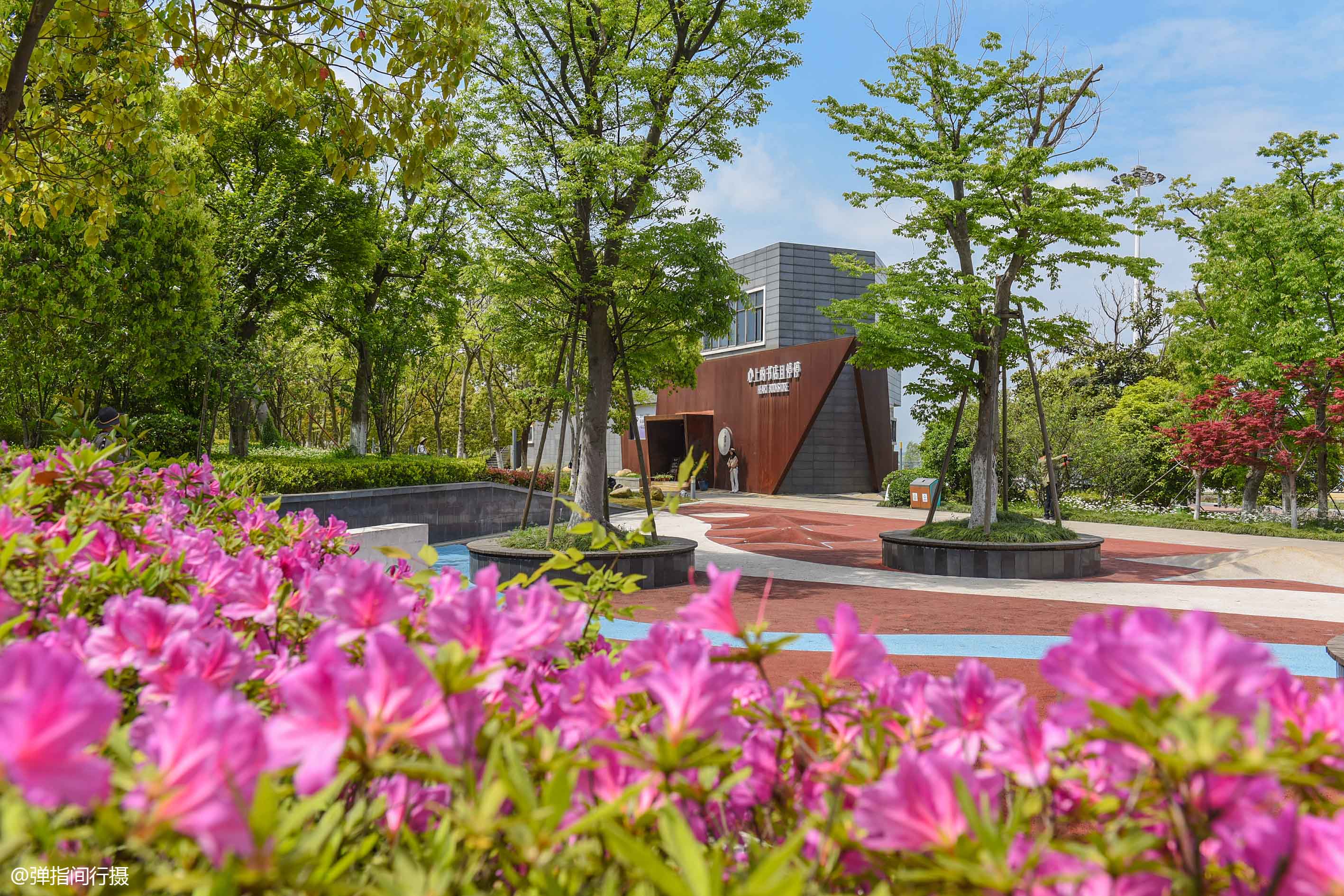 苏州太湖国家湿地公园值得去吗,苏州太湖湿地公园秘境