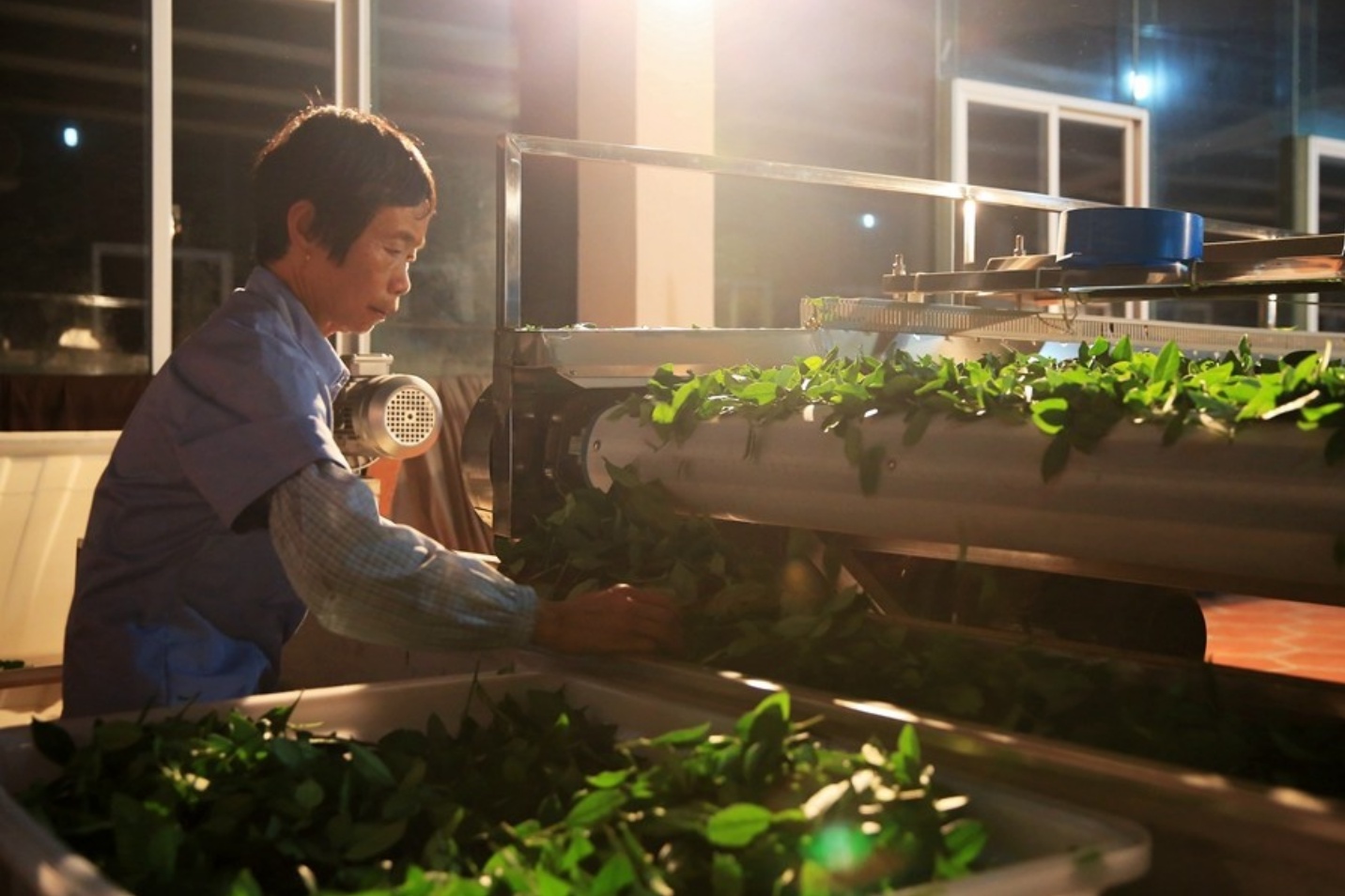 无与伦比的兰花香,低迷的铁观音,茶叶王国里铁观音的兴衰成败