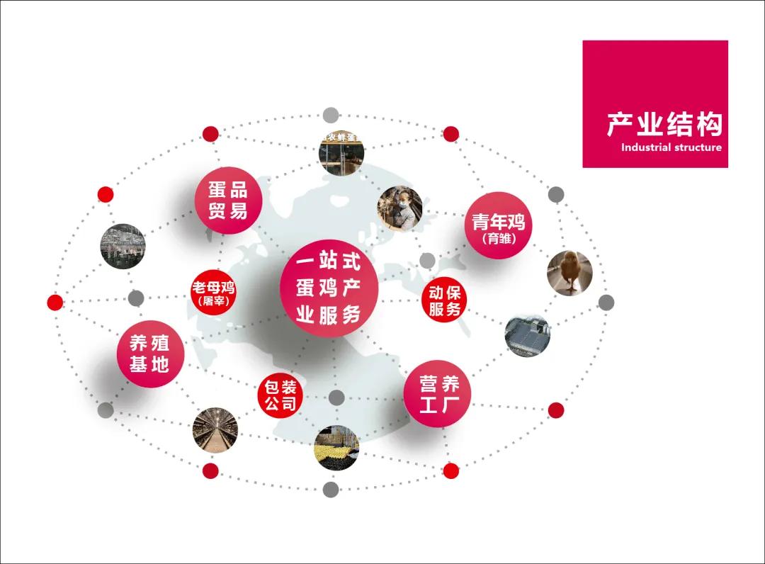 众信科技有限公司靠谱吗,众信农牧科技公司