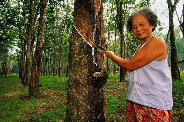 泰国乳胶枕头有钢印就是正品吗,泰国乳胶枕头真的有神奇功效吗