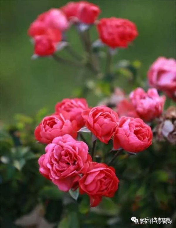 五一怀化亲子游推荐,怀化五一可以带孩子参观的地方