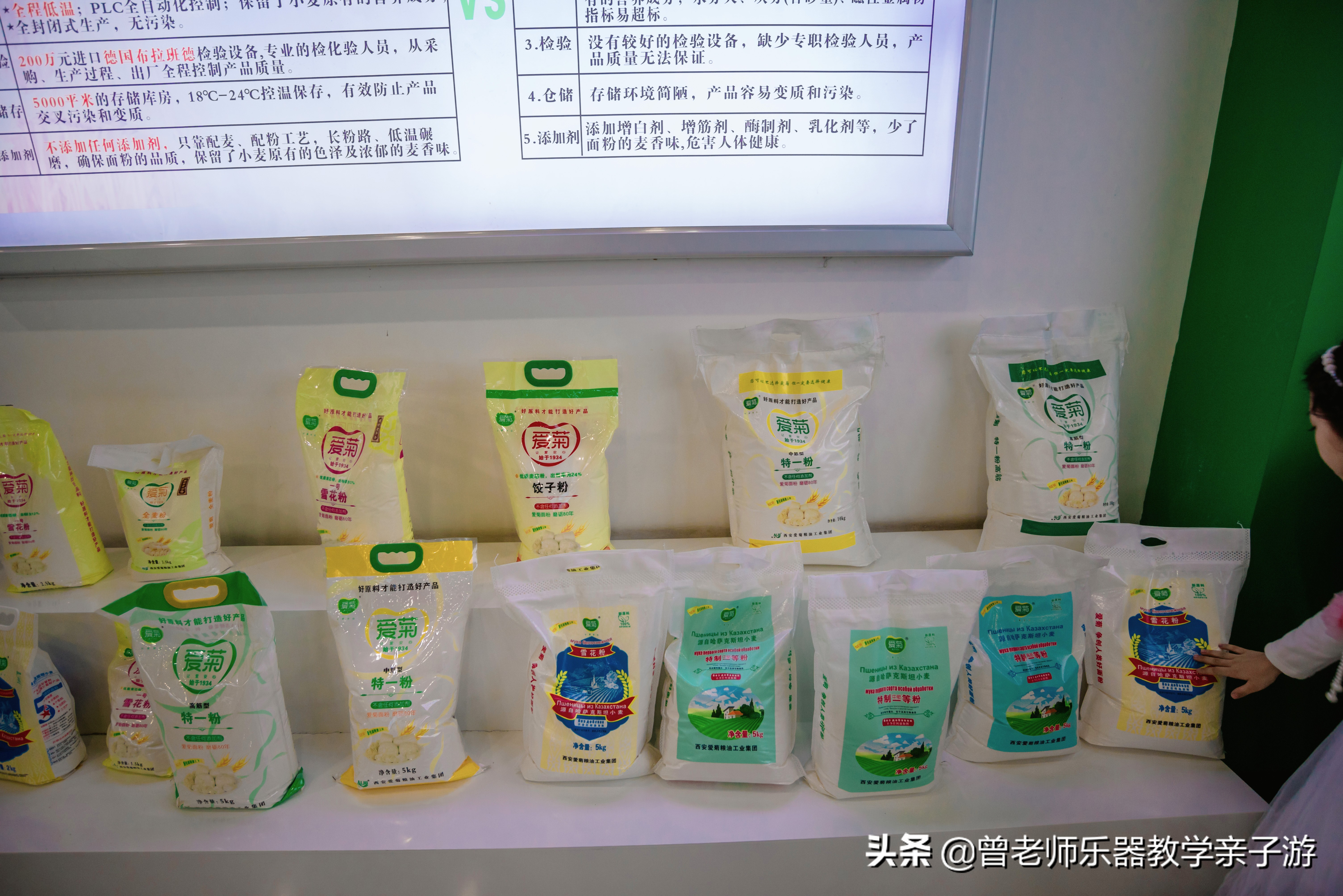 爱菊研学游,爱菊丝路文化菊花园西安