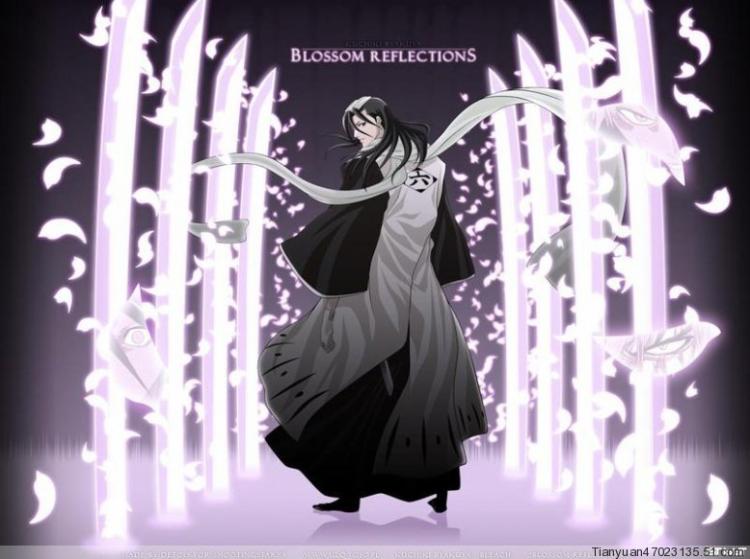 银的斩魄刀和乱菊的斩魄刀,死神斩魄刀有几种