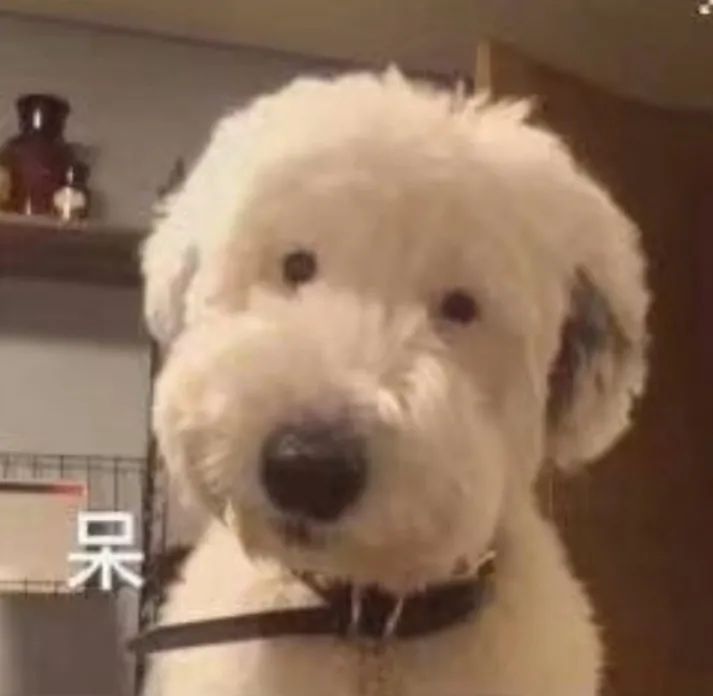 意大利人的一些习惯和习俗,想去意大利留学要注意什么