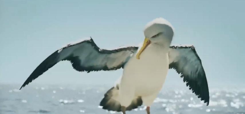 士兵被困海岛上,士兵被困在海上吃鲨鱼