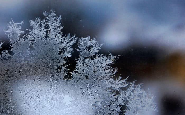 悲情丑角，莱昂卡洛斯