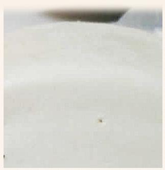 去黑头简单粗暴,去黑头不入坑