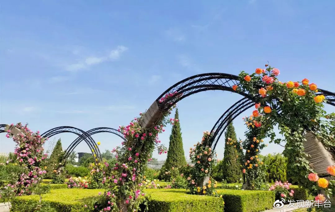 【FENG爆】5·19中国旅游日——*情纵**丰台，感受无限美景！