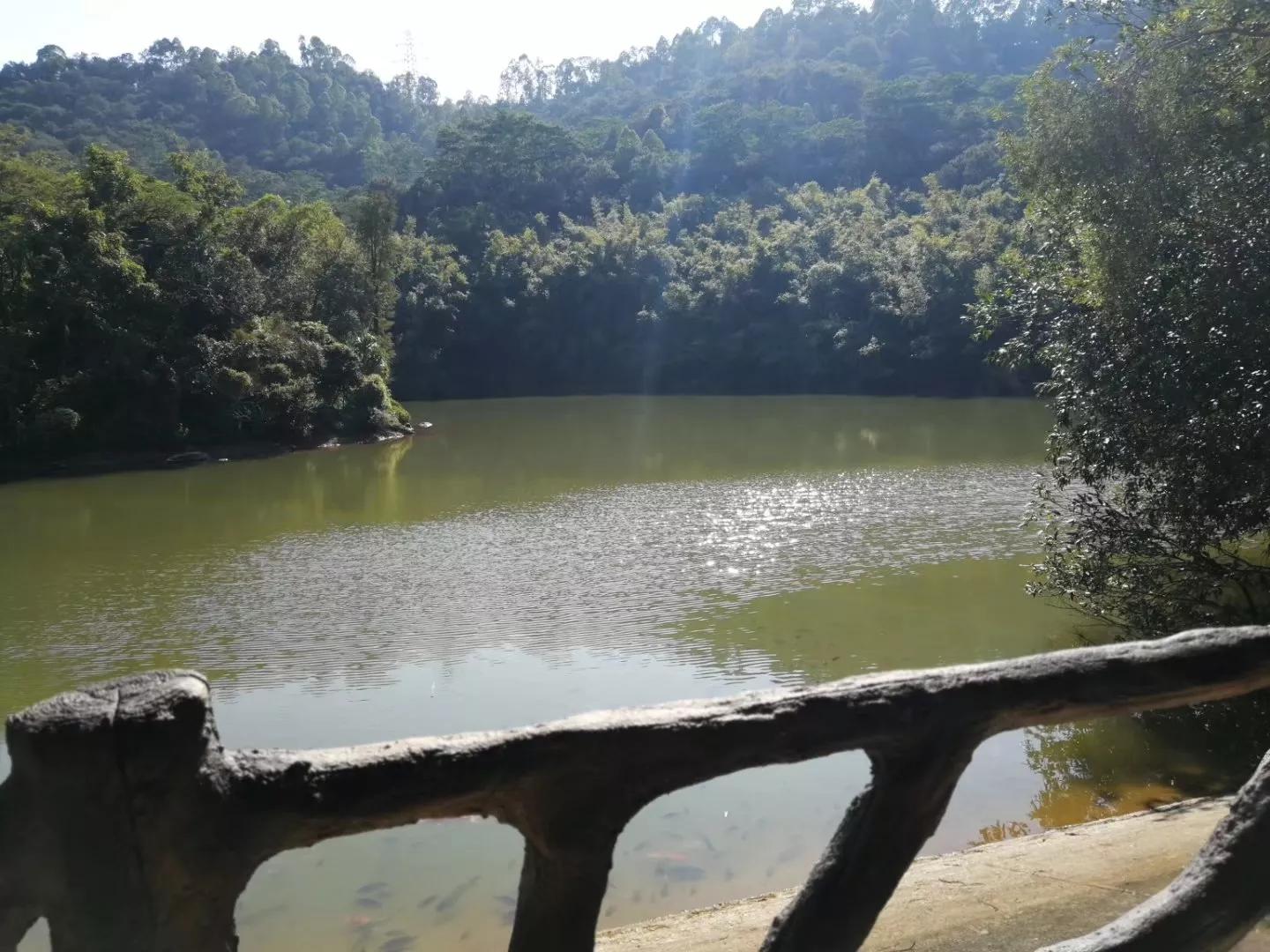 番禺南站旅游攻略,广州3号线地铁番禺旅游攻略