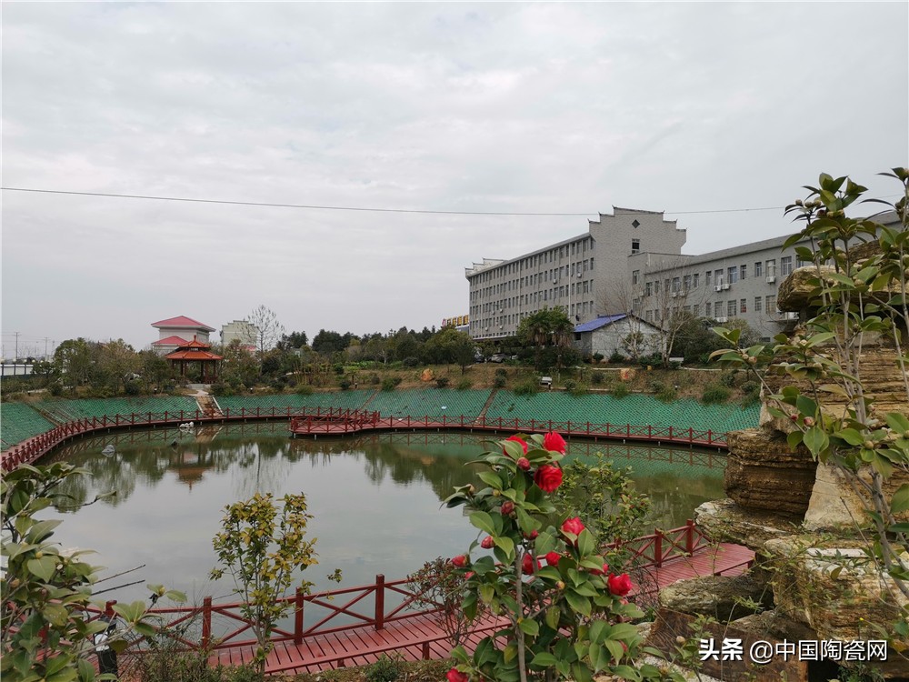 泛高安是什么,泛高安