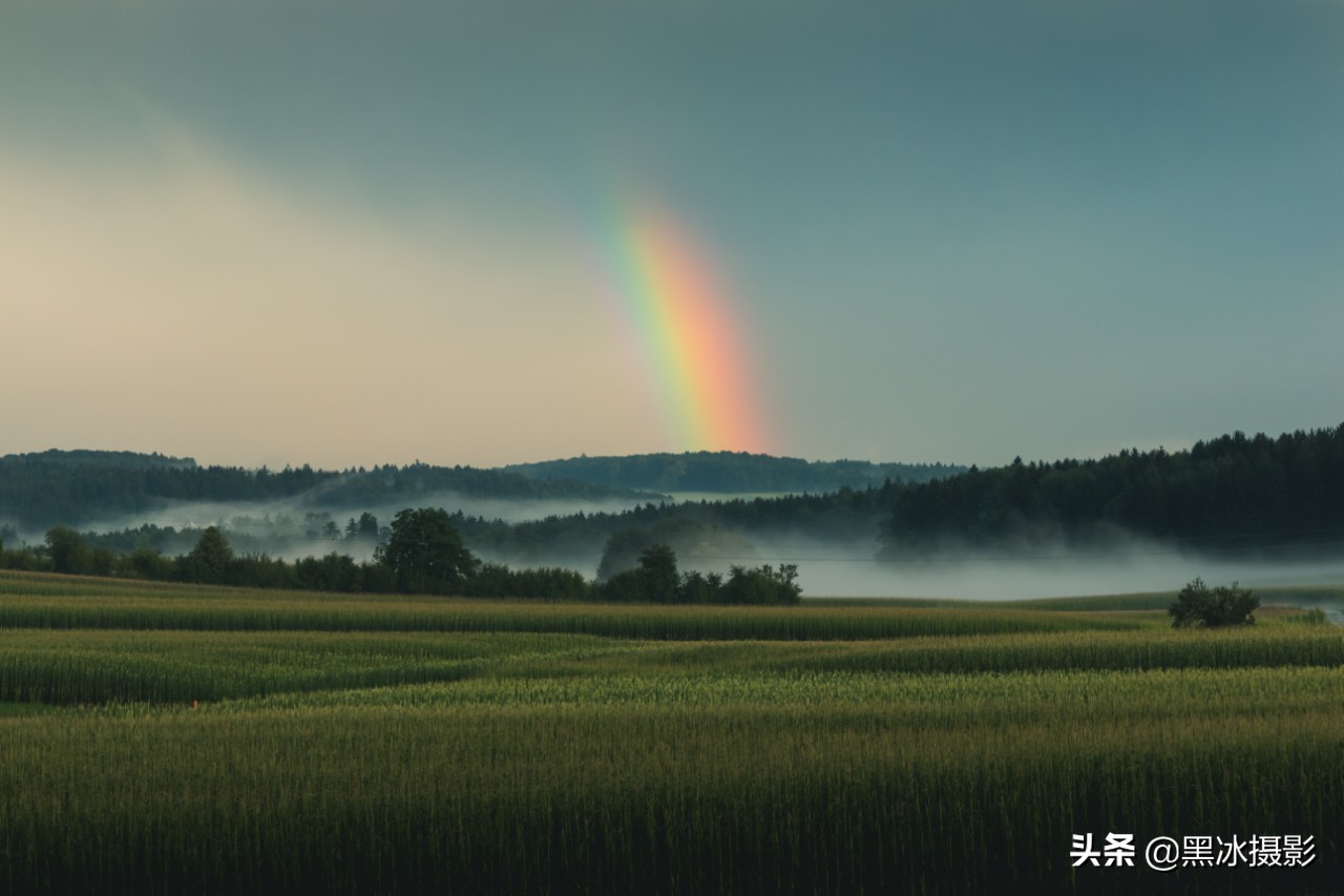 为什么自动对焦对不上焦,对不上焦的相机