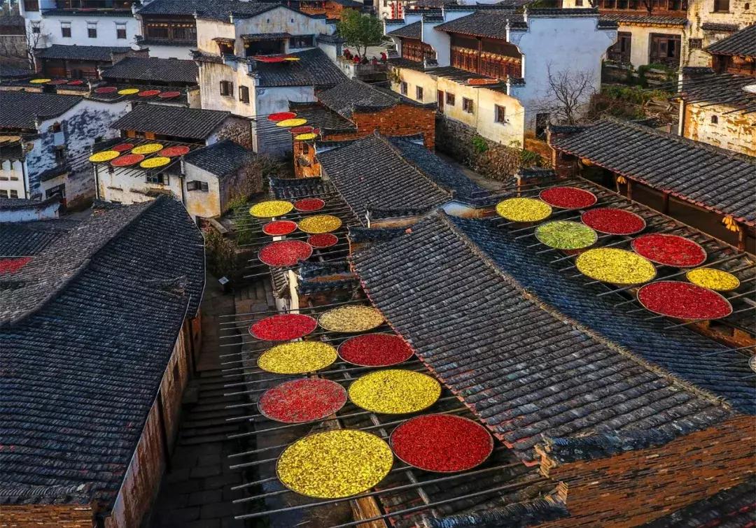 cctv榫欑伅,cctv璇锋偍娆ｈ祻姹熻タ濠烘簮