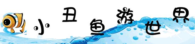 迪士尼门票vip可以玩2天,迪士尼门票一日双人套餐