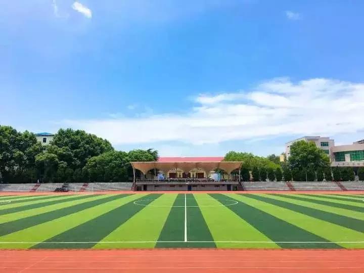 全球最大的地质学院，中国地质大学武汉，在地球科学领域享有盛誉