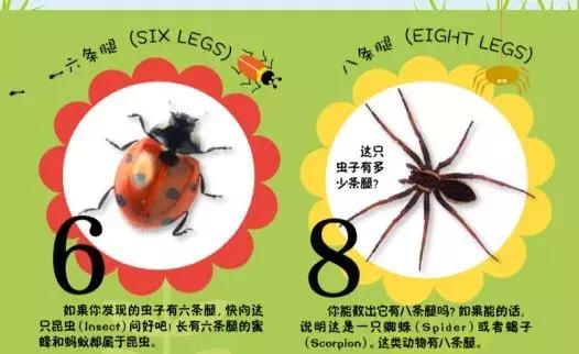 儿童dk哪些书籍值得买,dk儿童书籍推荐