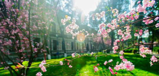 2021浜戝崡鍗佸ぇ鍚嶅搧,浜戝崡鍗佸ぇ鍚嶅搧