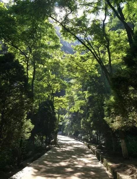 华山西峰索道维修还有必要去吗,华山西峰索道什么时候能恢复运营