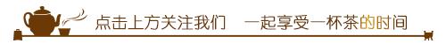 明前大佛龙井茶,大佛龙井是什么品种