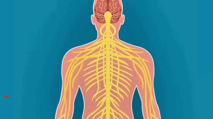 中枪瞬间为什么不会感到痛,中枪的一瞬间会感觉到痛吗