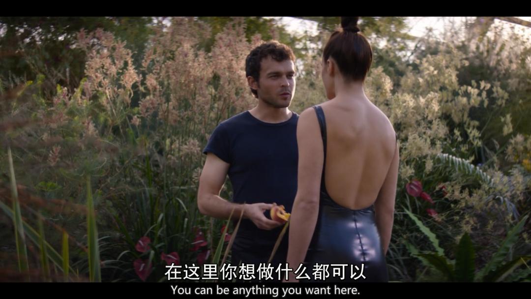 美剧美丽新世界全集免费看,类似美丽新世界的美剧