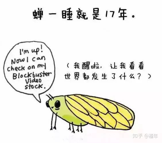 想象中不一样的动物冷知识,悲伤的动物视频