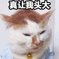 囧到怀疑人生？英国留学和电视剧情原来相差这么大？