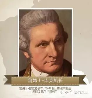 澳洲茶树提纯,澳洲茶树如何培育