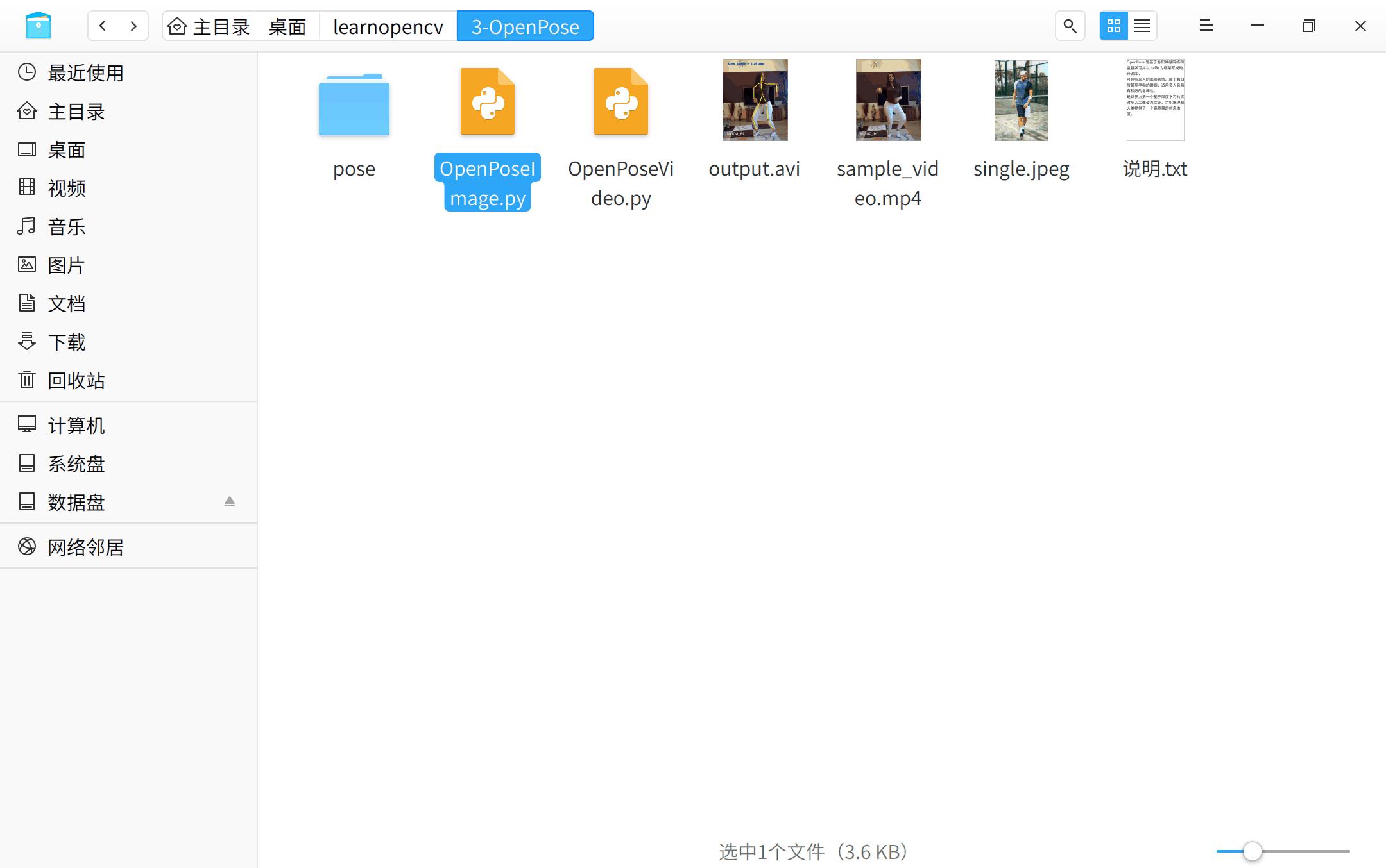 openpose人体姿态识别,openpose抖音
