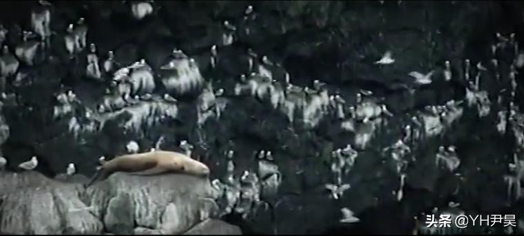 1998年美国海岸大批生物突发异样，专家共同侦查，真凶竟是天气