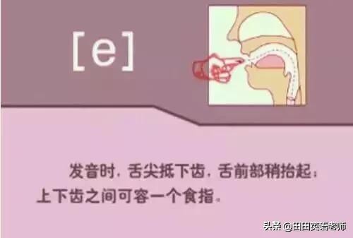 48个英语国际音标发音表图片,英语48个音标发音附详细图解视频