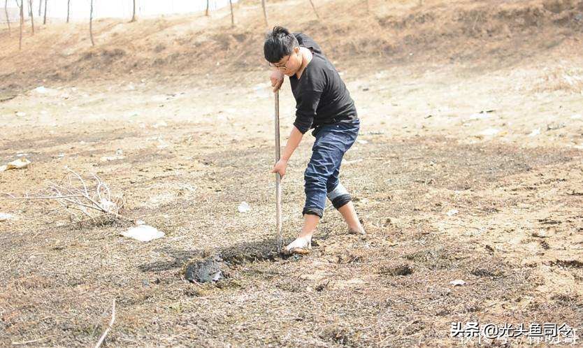 儿歌池塘里小泥鳅,池塘泥鳅儿歌