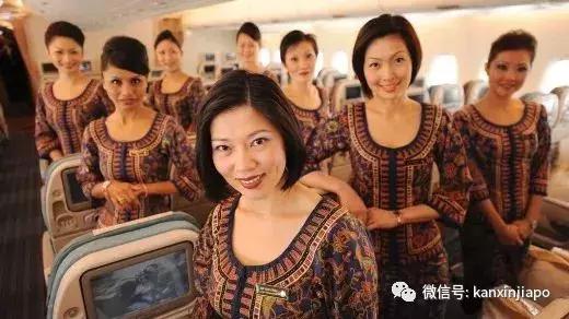 酷航飞新加坡迫降,万米高空飞机垂直坠落