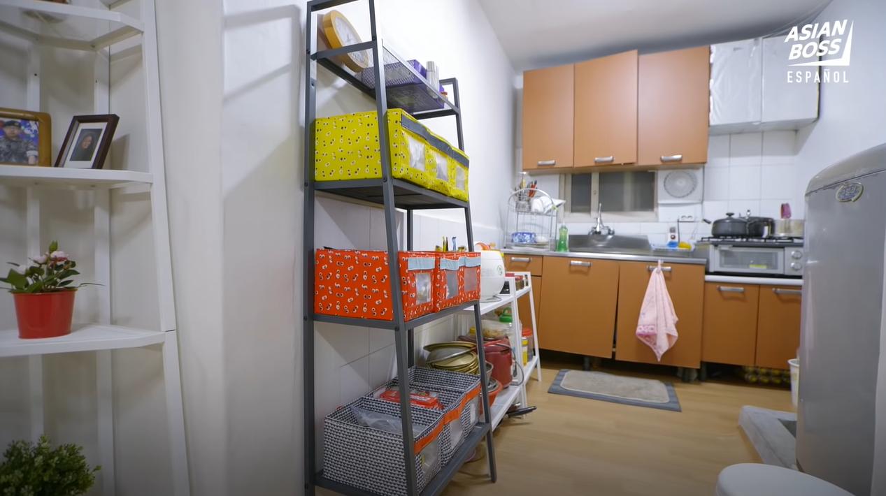 7旬老太太家里堆垃圾场,82岁老妇住地下室五年