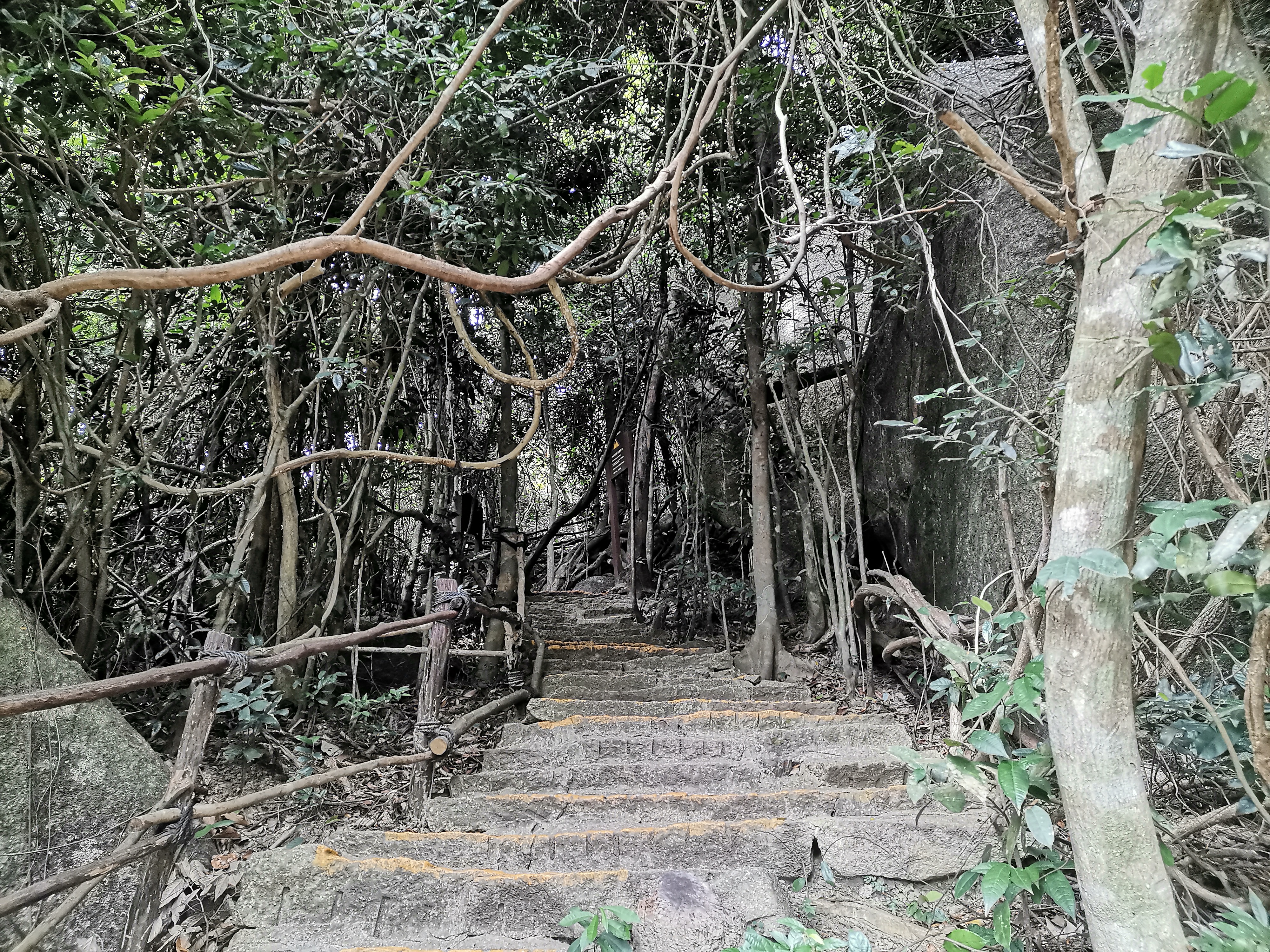 去了海南三亚,去完三亚热带森林公园可以逛哪里