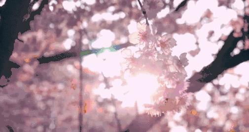 东京奥运会运动员睡瓦楞纸板床,东京奥运会纸板床运动员