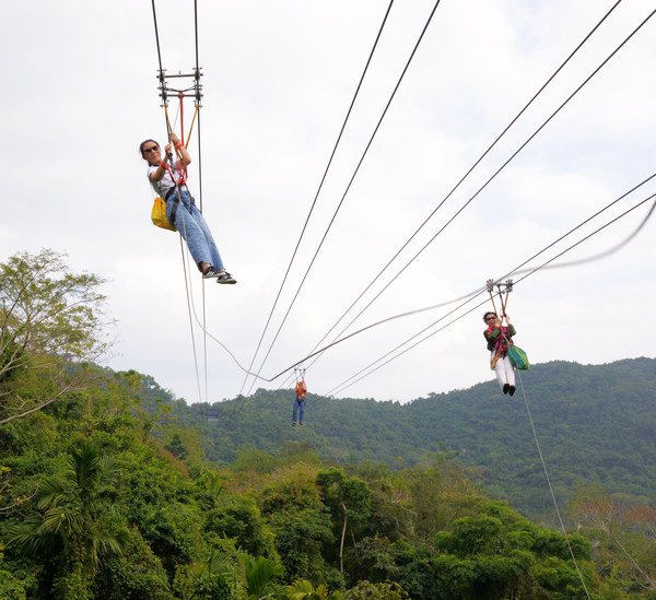 海南呀诺达热带雨林文化旅,三亚诺达雨林旅游攻略