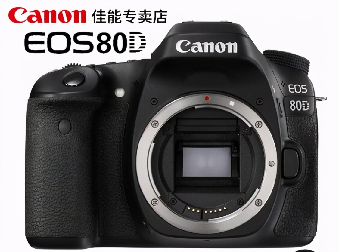 2021年买单反还是微单,微单与单反初学者如何选购