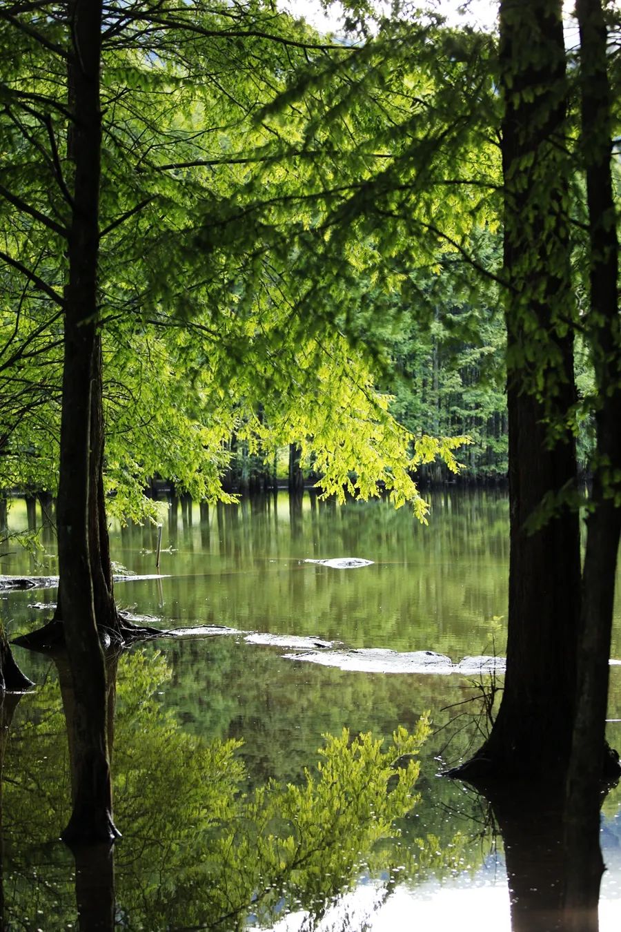 汉中龙池湖攻略,汉中龙池湖简介