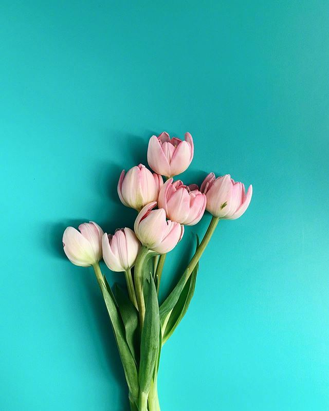 比水还干净的治愈句子句句温暖,比水干净的经典句子