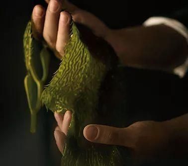 平价护肤品真的可以替代大牌,平价替代大牌