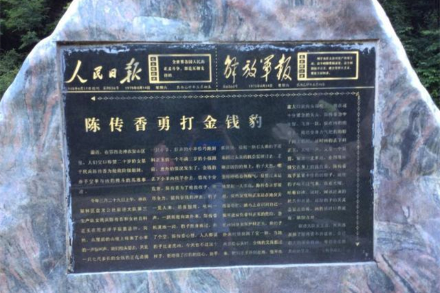 女武松陈传香,打虎女英雄陈传香