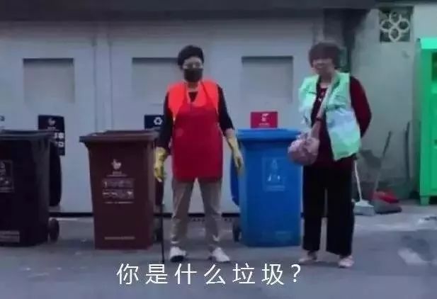 杠精用英语怎么说,杠精英文简称怎么说