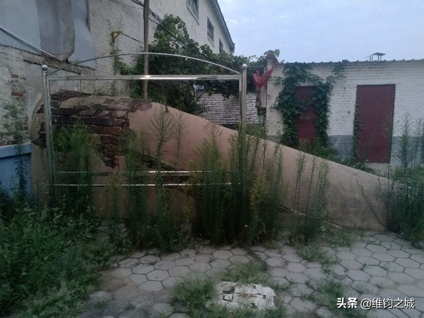 聊城人啊，请再看她一眼！