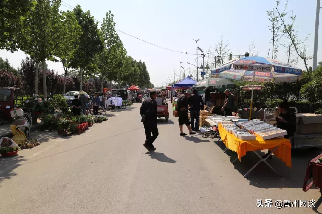 禹州人要和褚河镇说再见了！褚河镇！这些刚拍的照片！