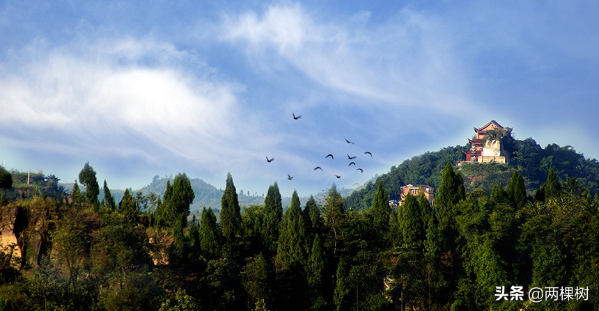 我和我的家乡征文大赛,我和我的家乡征文比赛一等奖范文