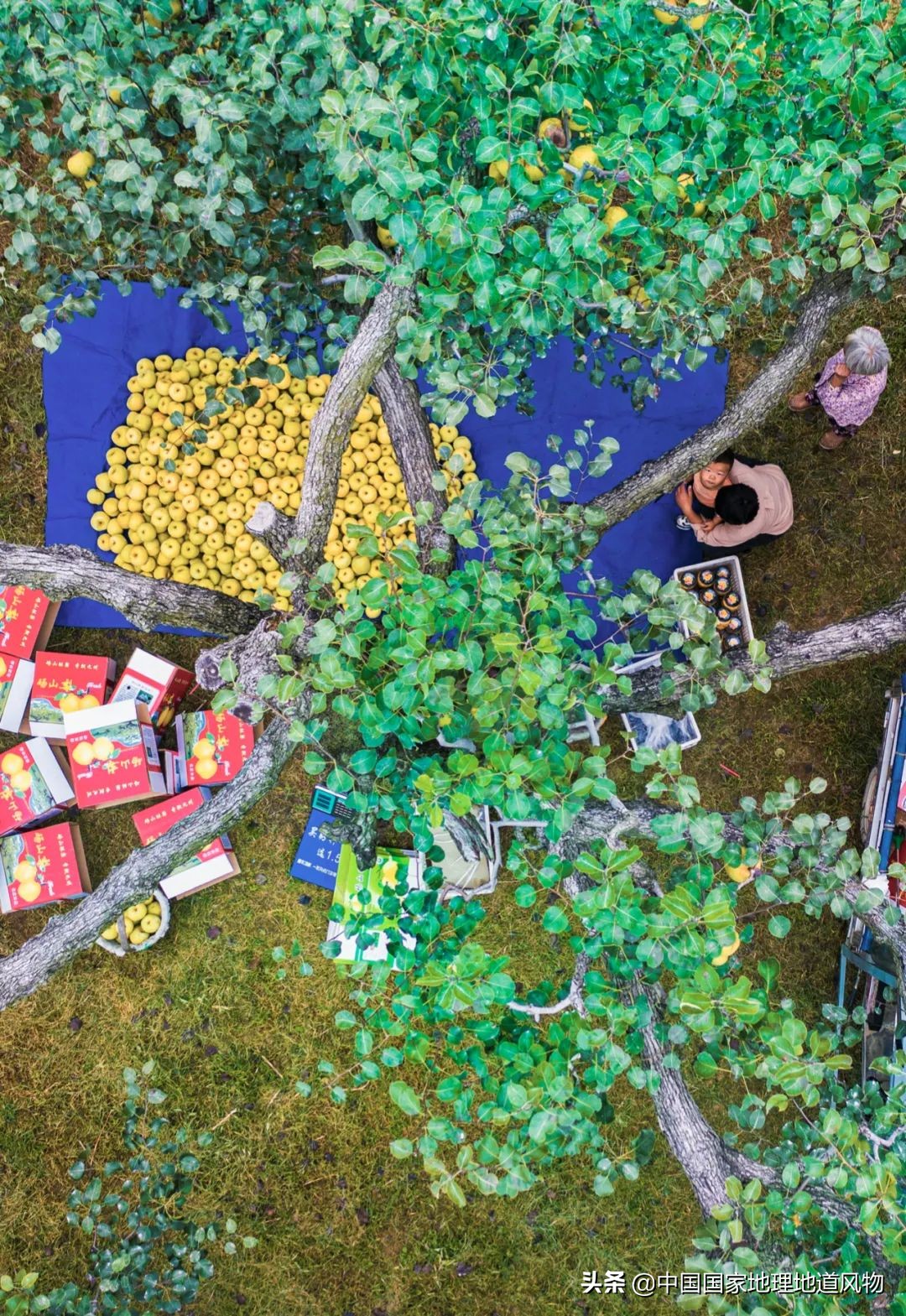 中国夏天地图全图,中国秋色地图