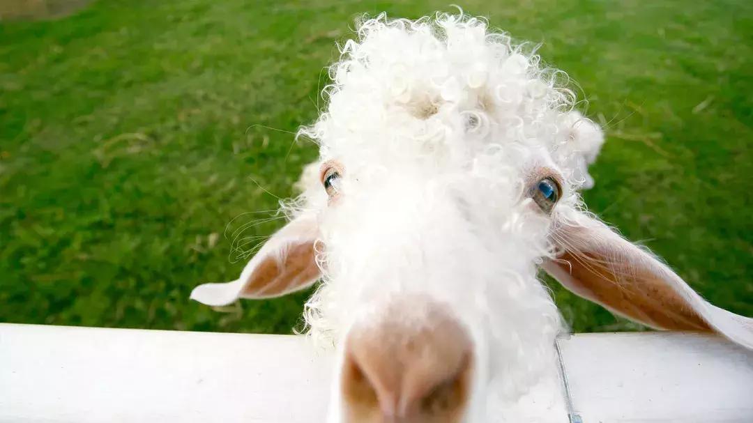 泰国泼水节狂欢六日游,泰国泼水节电音节攻略