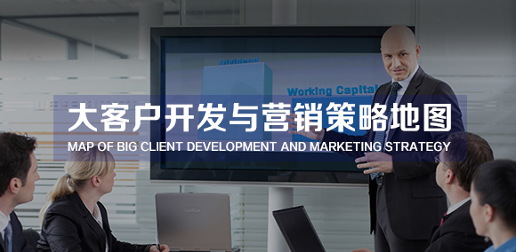 大客户分析所采用的营销策略 (对于大客户要采用什么营销策略)